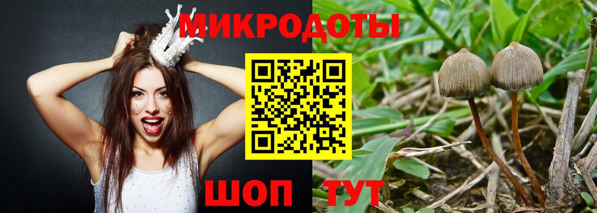 Псилоцибиновые грибы GOLDEN TEACHER Касимов