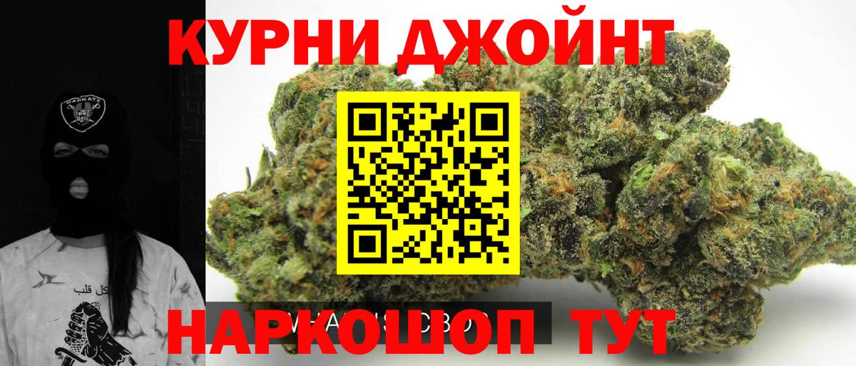 Каннабис план Касимов